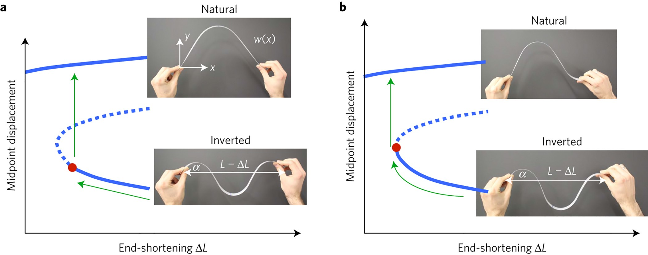 Morphogenesis example 1